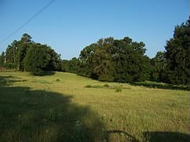2nd image of 14890 Us Highway 259 S