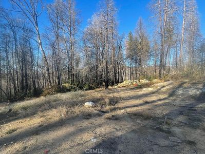 2629 Bald Rock Rd, Berry Creek, CA, 95916