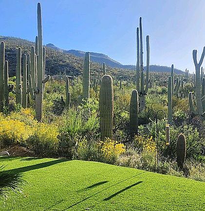 5th image of 10245 E Sabino Estates Dr