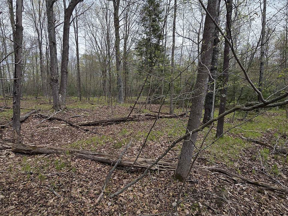 1st image of Chapin Rd