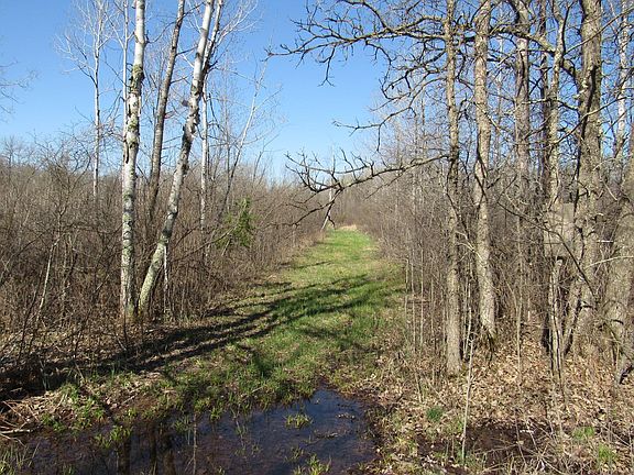 5th image of 1 County Road 41