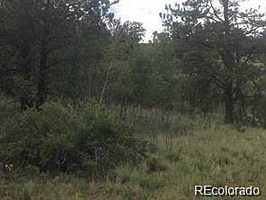 1st image of 1681 Athapascan Road