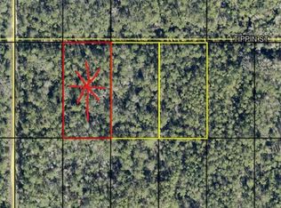 TRACT 601 Tippin St, Hastings, FL 32145