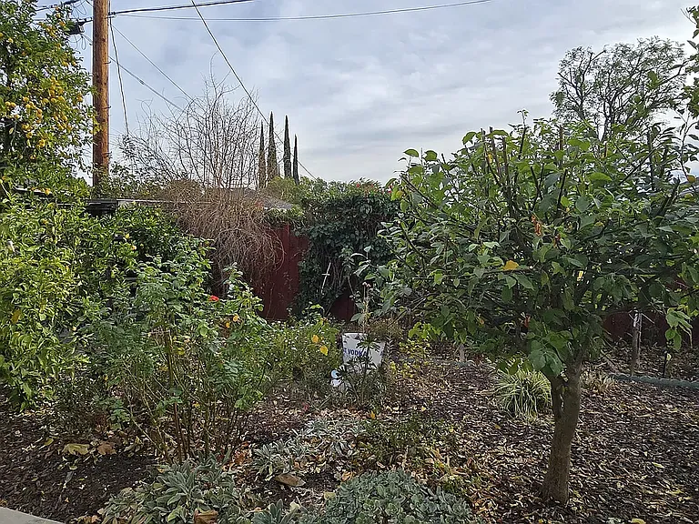 6212 Zelzah Ave — Photo 15