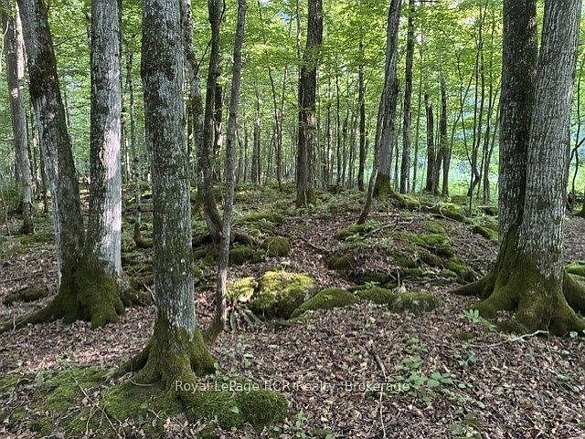 1st image of Connell Lake Rd Lot 26