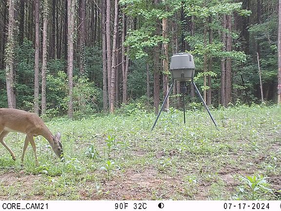 3rd image of Fs #968.2