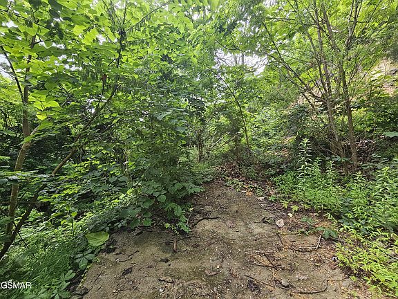 2nd image of 1837 Walker Trl #4DL