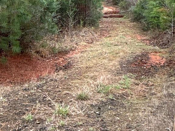 2nd image of Township Road 3 Hwy #21E
