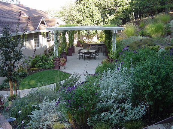 Rear Patio