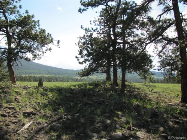 2841 Singletree Rd, Hartsel, CO 80449
