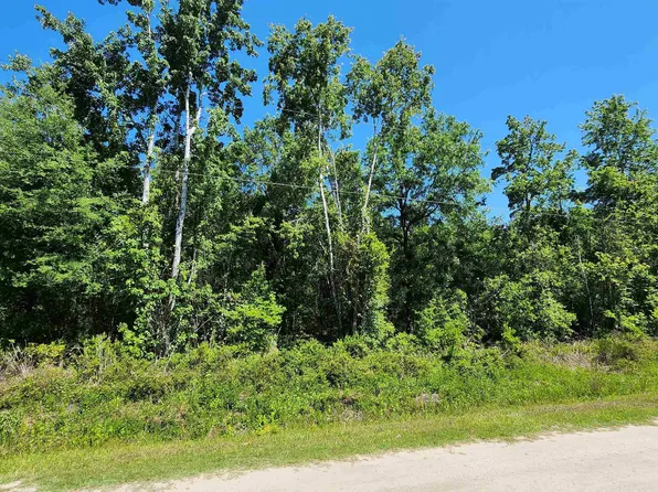 4370 Benedict St, Hastings, FL 32145