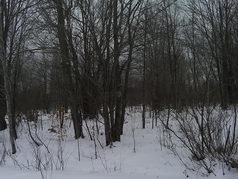 1st image of Harwood Cir