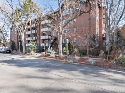 1270 N Marion Street #505, Denver, CO, 80218