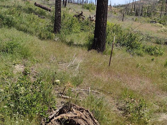 5th image of 5067 Rail Canyon Rd
