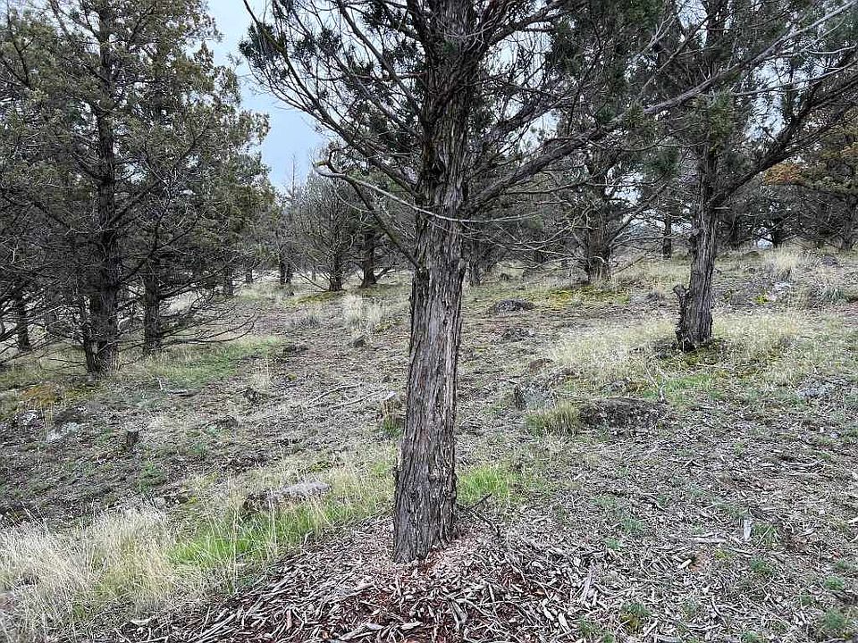 1st image of 9 Saddlehorn Rd #76
