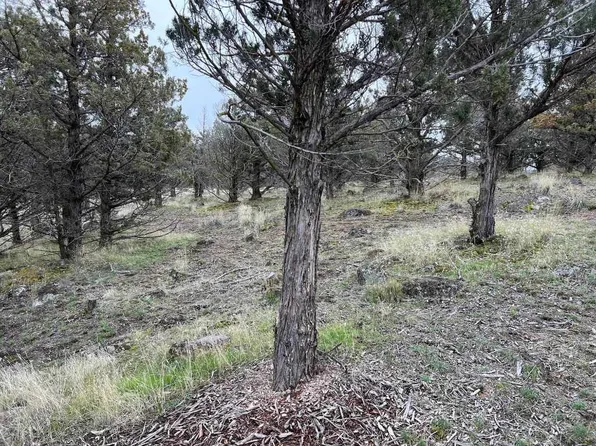 9 Saddlehorn Rd #76, Weed, CA 96094