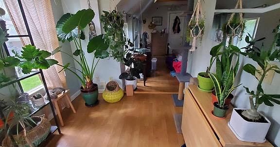 Porch/patio