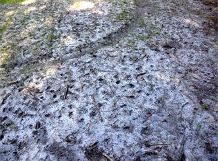 6548 SW 1 Federal Rd, Lamont, FL 32336