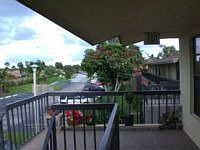 1st image of 4932 Paulie Ct APT 50