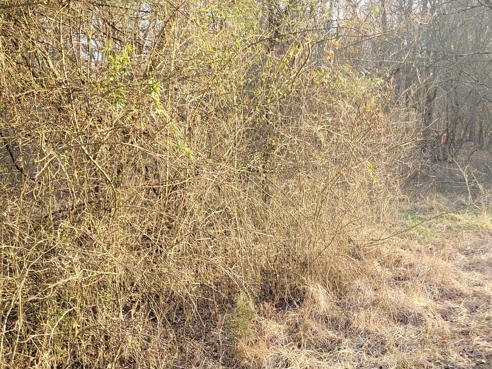 2nd image of 0 Lakewood Dr