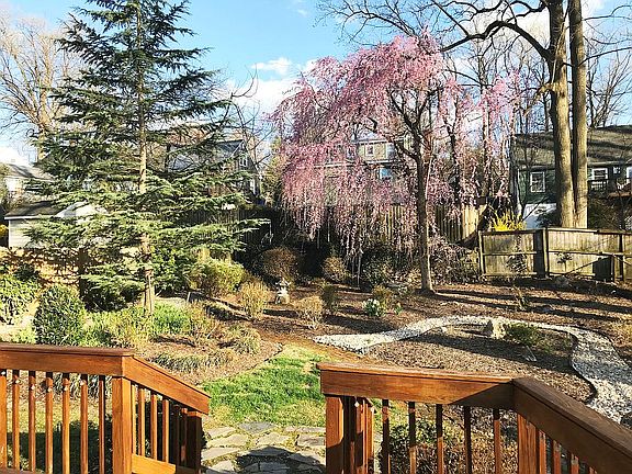 Backyard in spring
