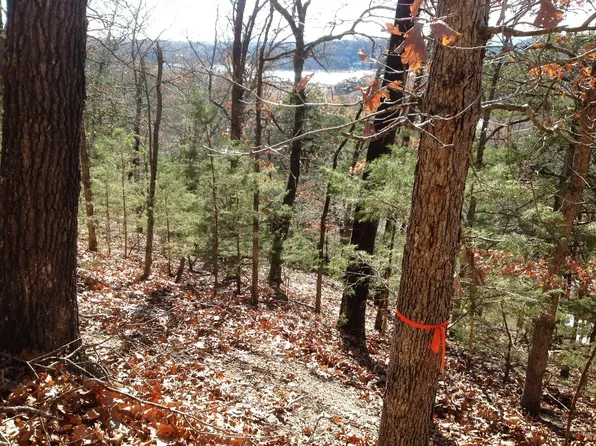 Lots 38 & 39 Country Club Lane Dr, Garfield, AR 72732