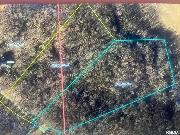 LOT 11 Twin Oaks Ave, Greenview, IL 62642