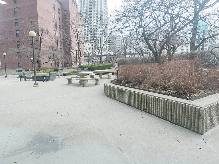 OP picnic area_05082025