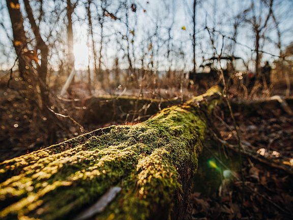 48th image of this home