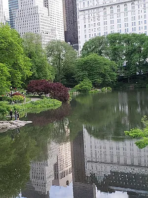 Rented by Corcoran | media 15