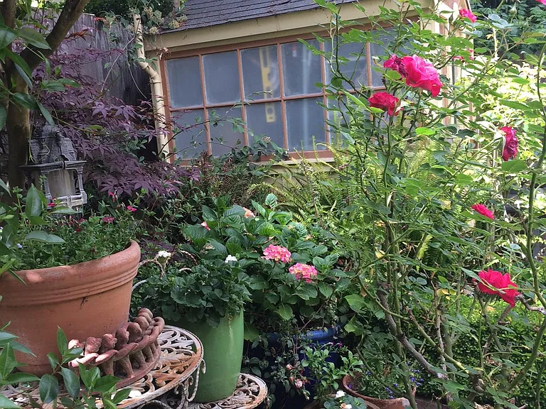garden green house