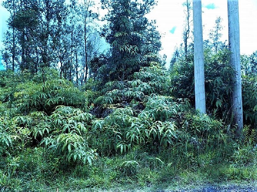 1st image of 16-625 Keala Lot 1
