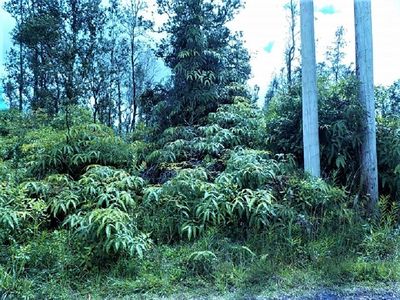 16-625 Keala Lot 1, Kurtistown, HI, 96760