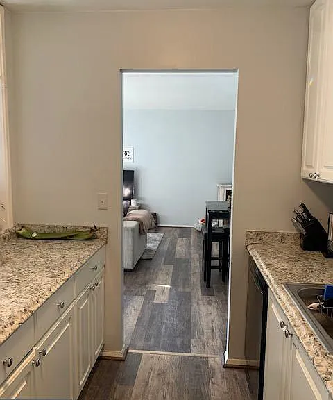 510 Wilson Bridge Dr #6711C — Photo 3