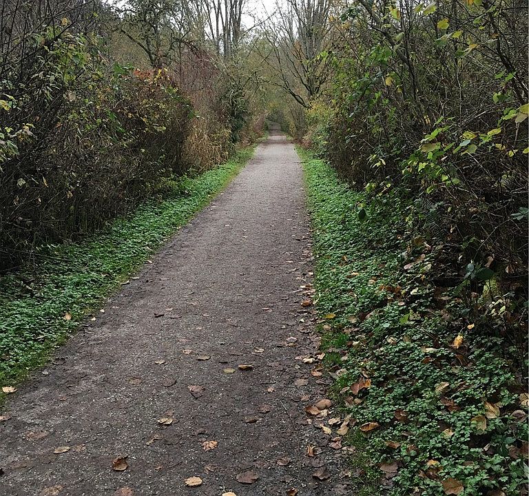 2nd image of 24th St