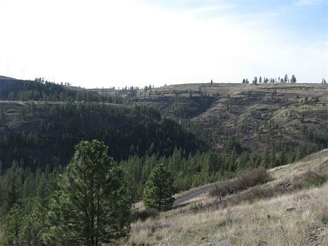 1st image of Johns Rocky Way E