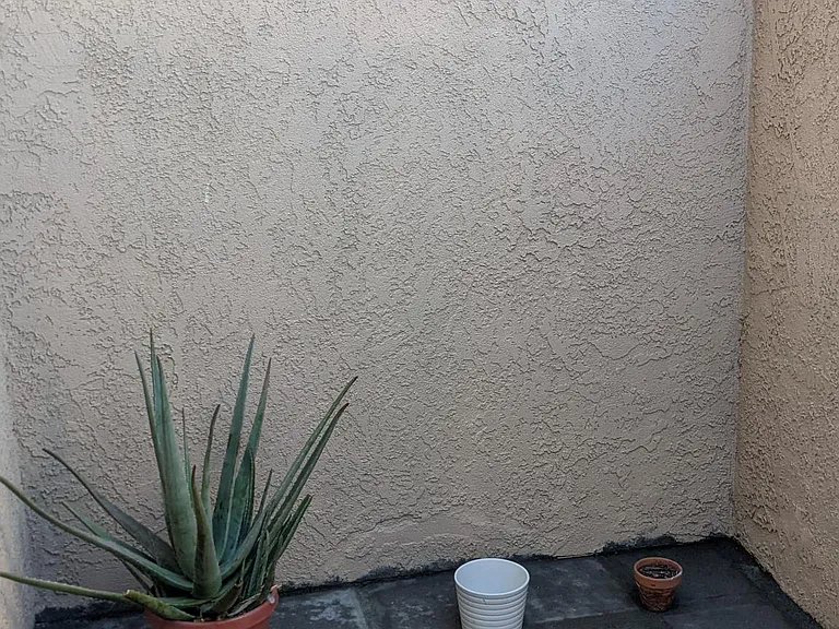 66375 Buena Vista Ave — Photo 56