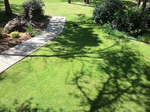 3rd image of 18901 Jayhawk Dr
