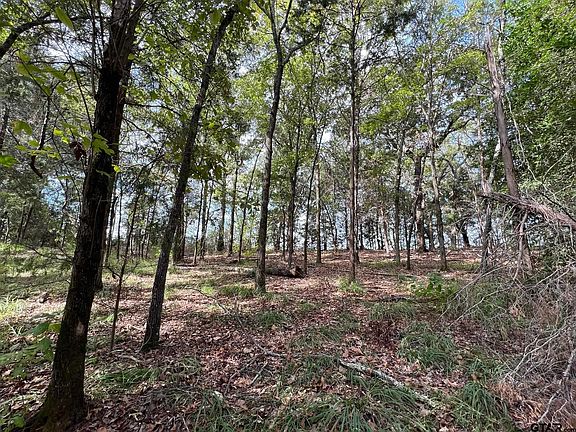 4th image of 13648 County Road 420 Lot 5