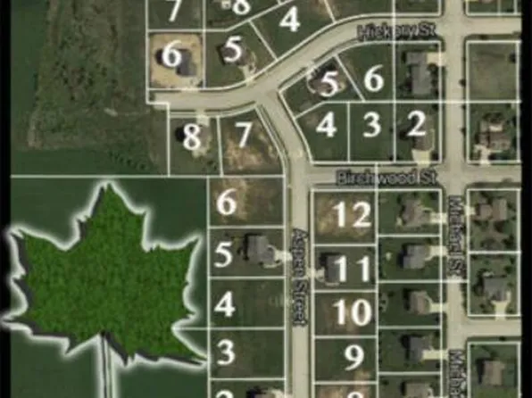 Lt3 BIRCHWOOD STREET, Belgium, WI 53004