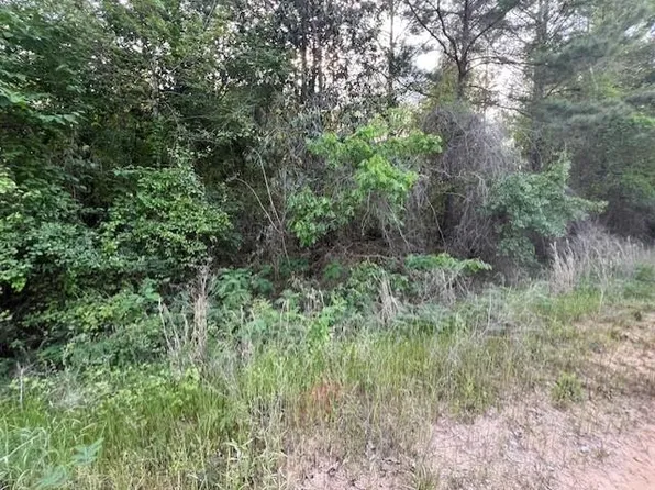 Oakey Streak Rd, Red Level, AL 36474