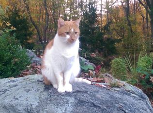 85 Mountaindale Rd, Smithfield, RI 02917