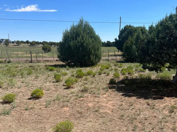 018K N Turkey Lake Rd, Show Low, AZ 85901