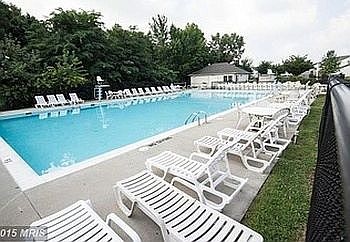 Community adult pool