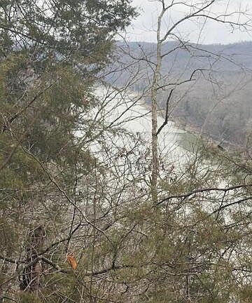 5th image of 8.7 Wolf Gap Rd #8.7