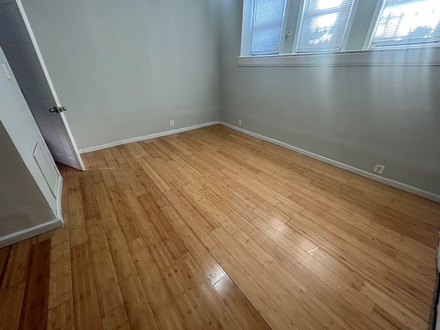 Studio, $990 — Photo 2