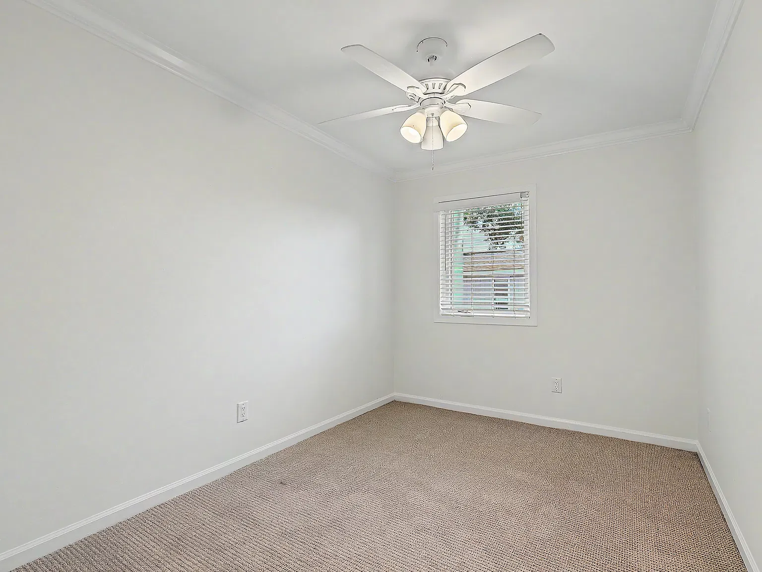 Myrtle Ct, Mount Pleasant — Photo 1