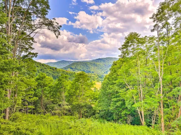 516 Hillside Ln, Slatyfork, WV 26291