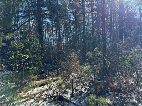 197 Union Hill Church Rd, Hendersonville, NC 28792