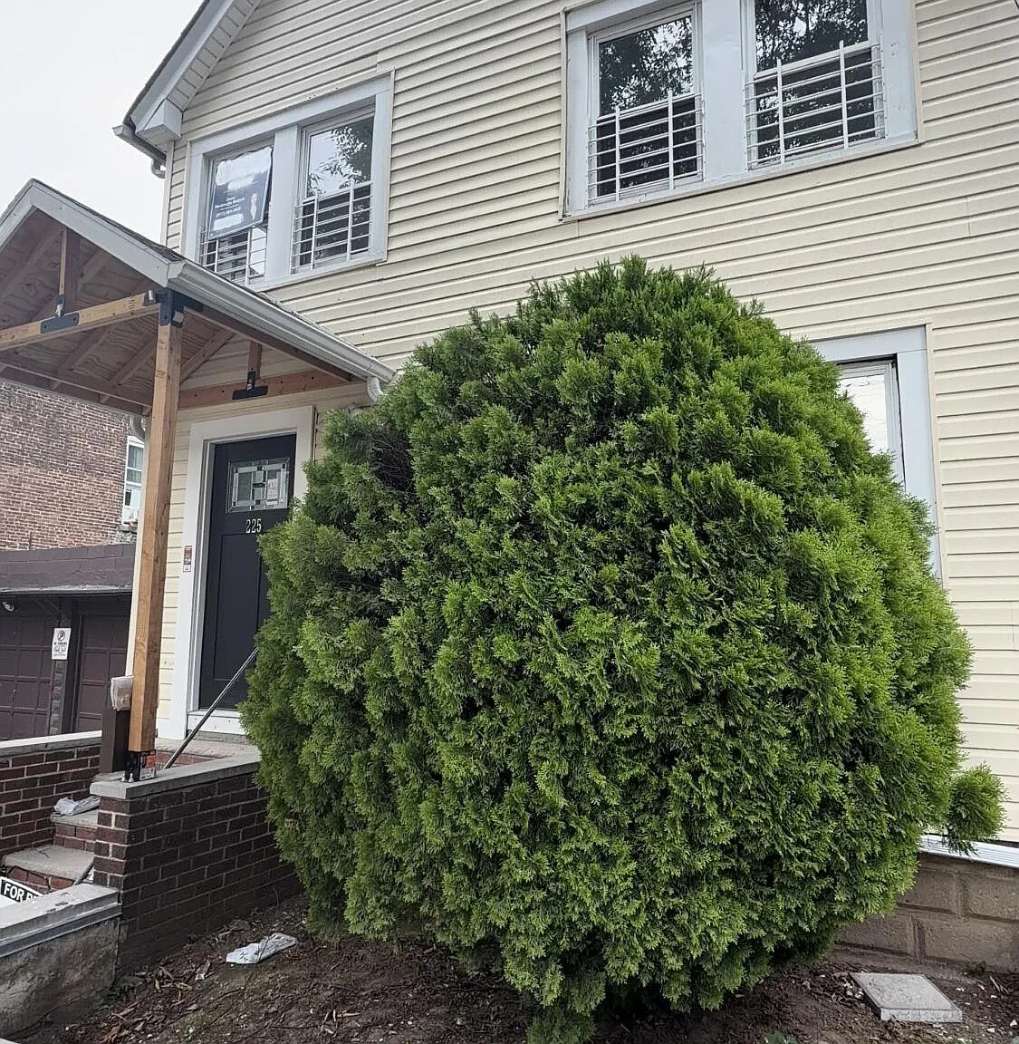 3 bed, 1.0 bath, 2010 sqft, $3,000 — Photo 1